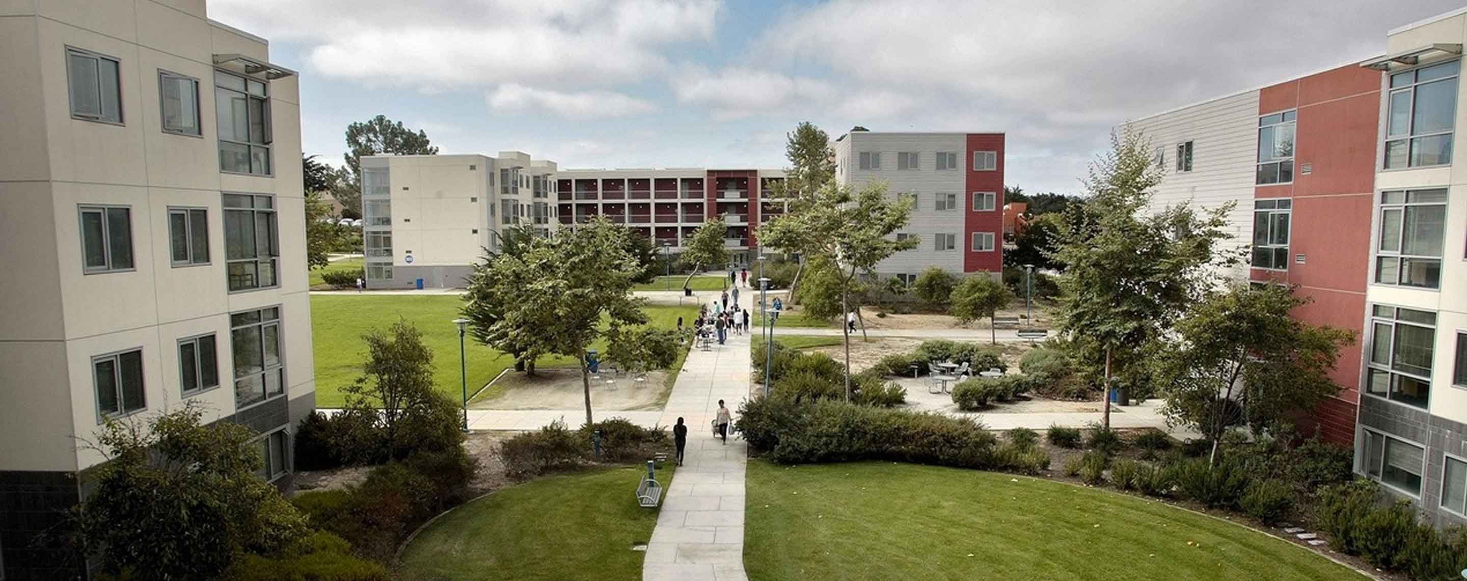 california state university